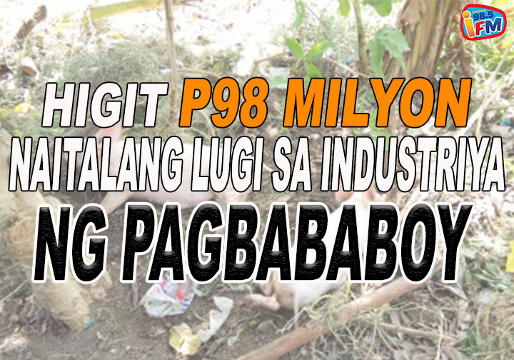 Higit P98 milyon, Naitalang lugi sa Industriya ng Pagbababoy sa Cauayan City