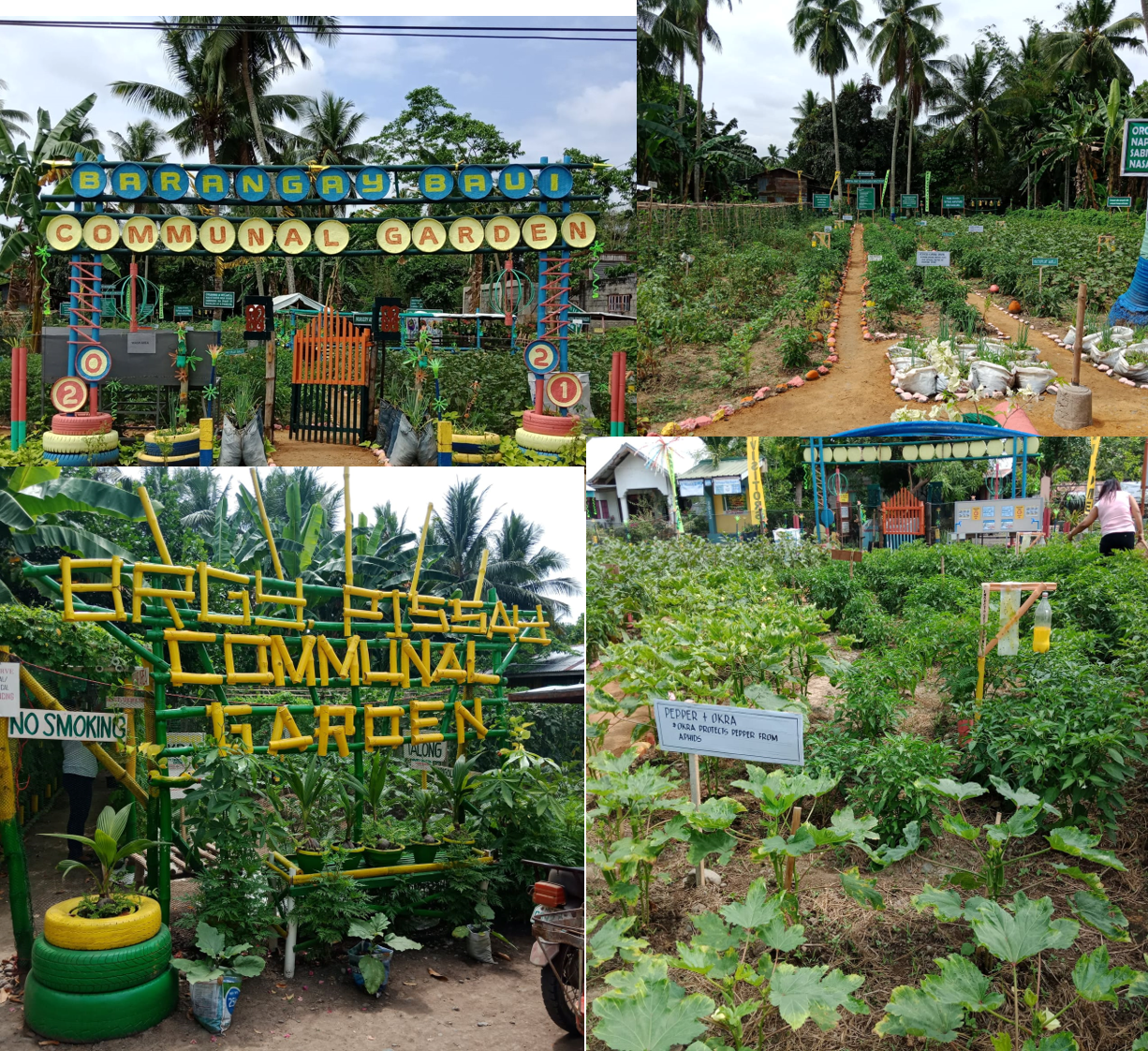 Best Communal Garden sa Bayan ng Angadanan, Isabela, Ibinida