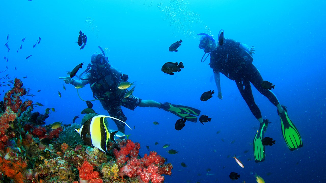 Pilipinas, muling tinuring na best dive destination sa buong mundo