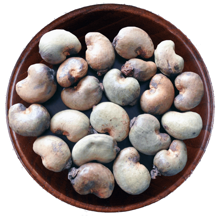 raw nuts cropped