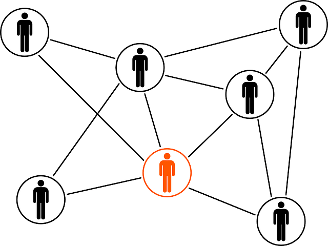 Business Networks
