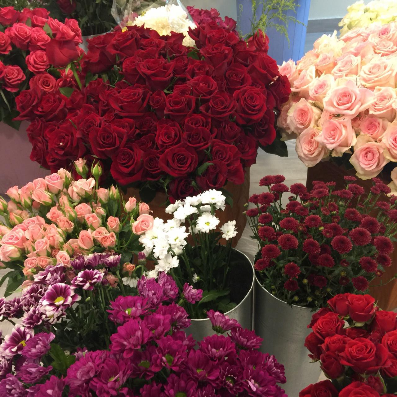 صور اجمل الورود , خلفيات ورود طبيعيه رمزيات