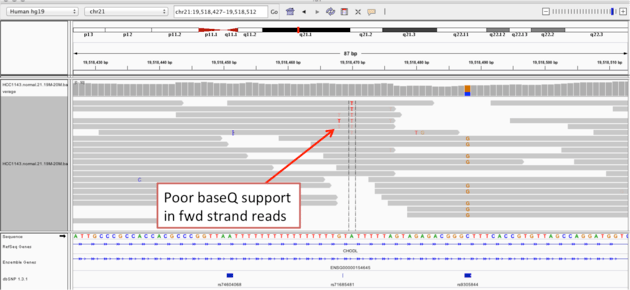 Alignment Visualization Igv Griffith Lab - Vintage Textures - Modern Retina Collection