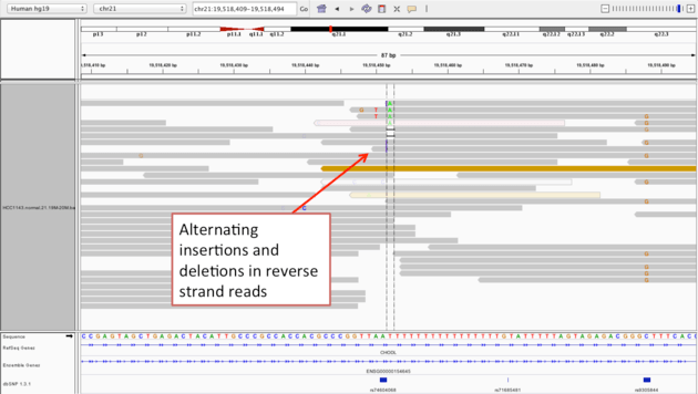 Alignment Visualization Igv Griffith Lab - Premium Nature Image Gallery - High Resolution