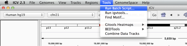 Alignment Visualization Igv Griffith Lab - Professional Light Pattern - Retina