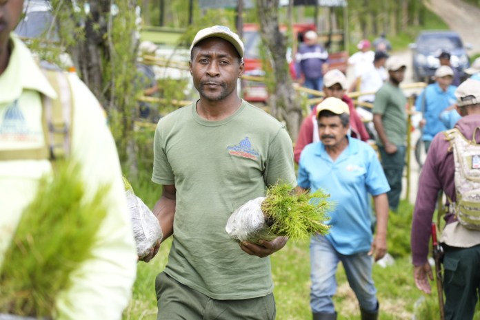 El Plan Nacional de Reforestación y Restauración 2023-2024.