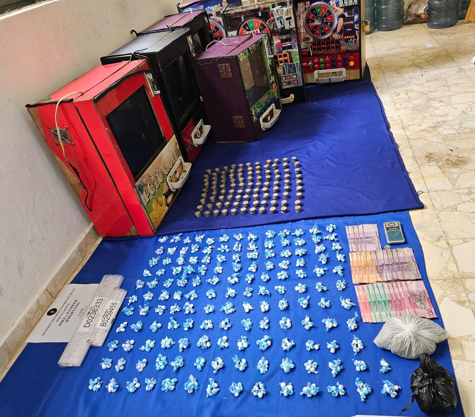 DNCD ocupa más de 10,000 mil gramos de drogas durante operativo en Capotillo