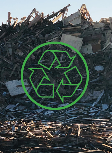Dumpster Rental