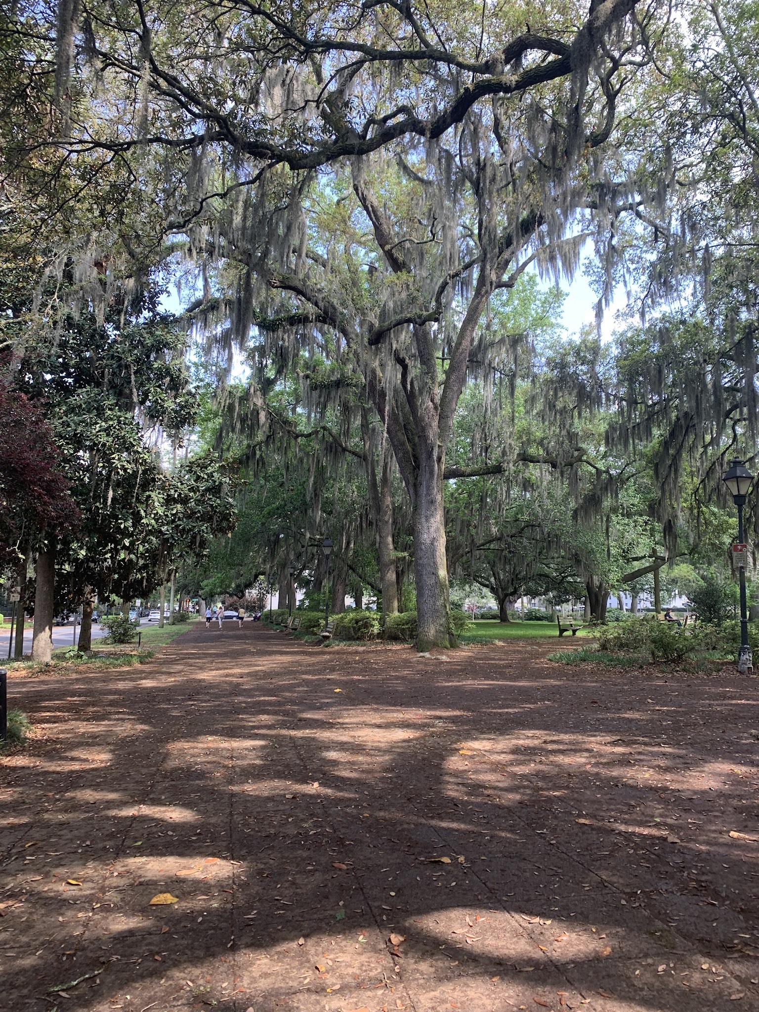 Savannah Georgia