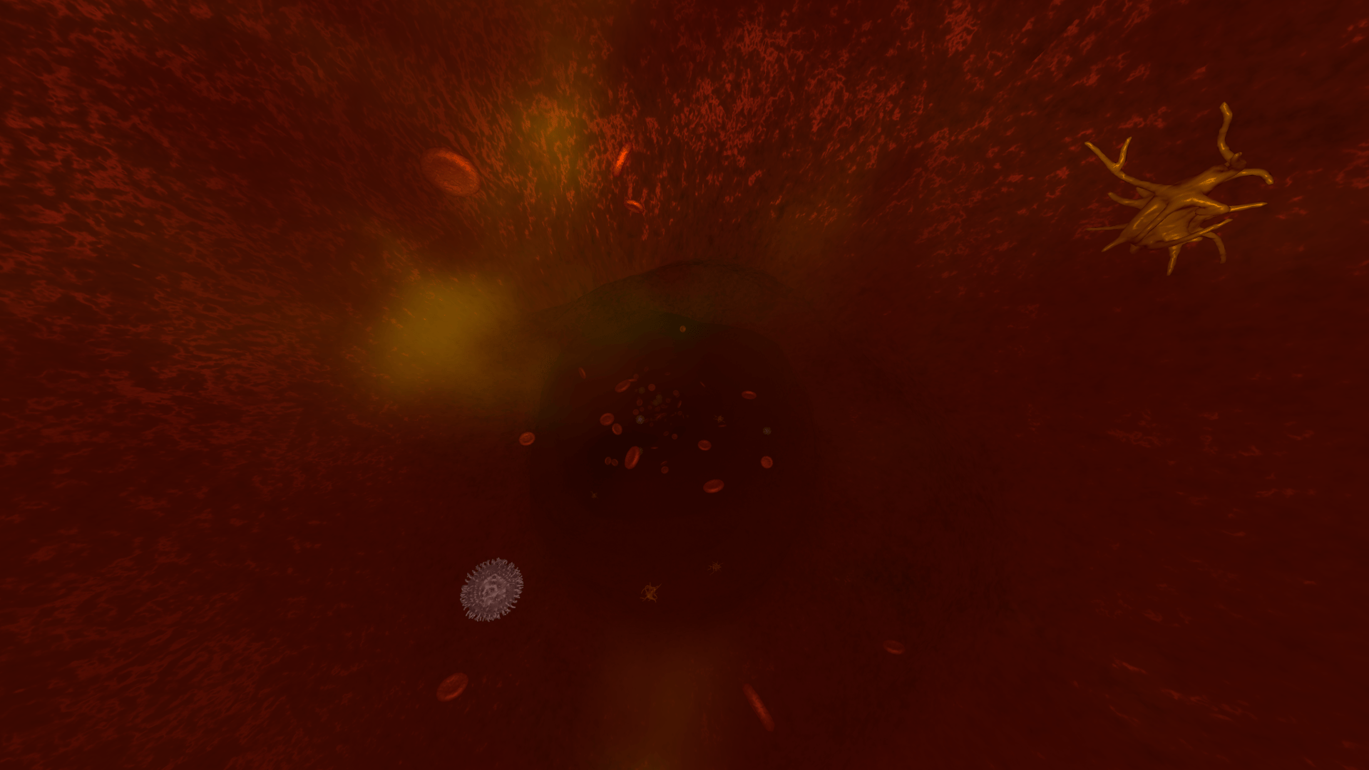 Screen7
