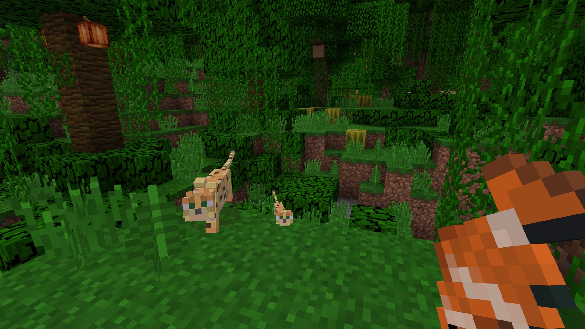 minecraft2