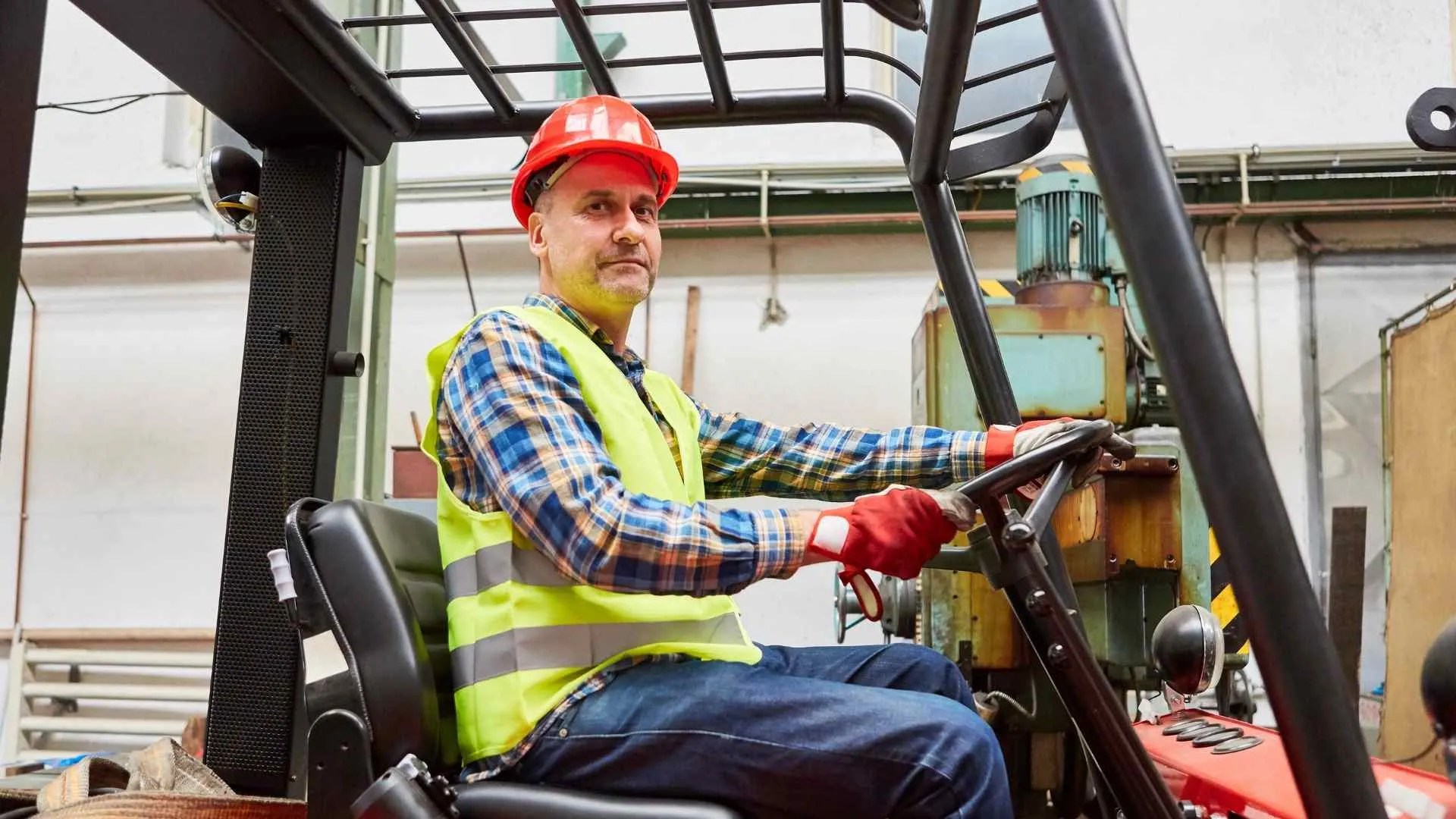 Which Forklift License is the Best Forklift Licenses Explained! Road