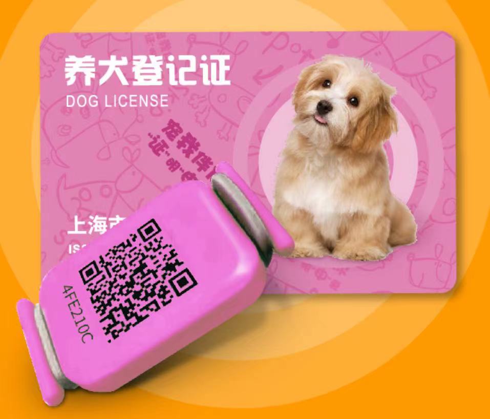 dog License