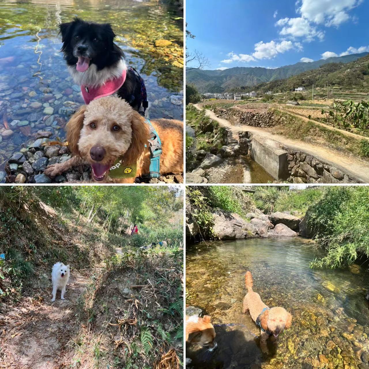 Wild Homestay