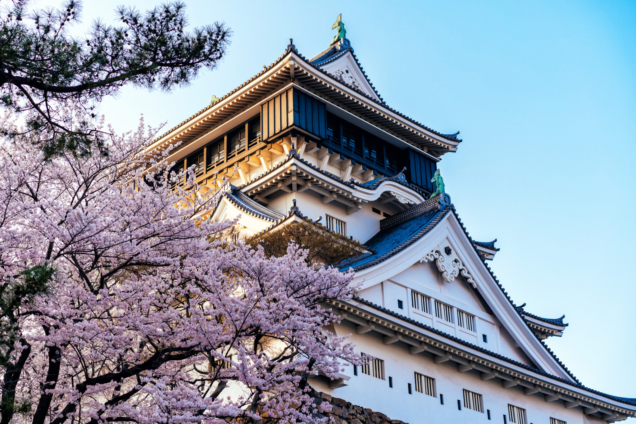 北九州景點小倉北九州巿小倉自由行景點 行程規劃 Zzkvs