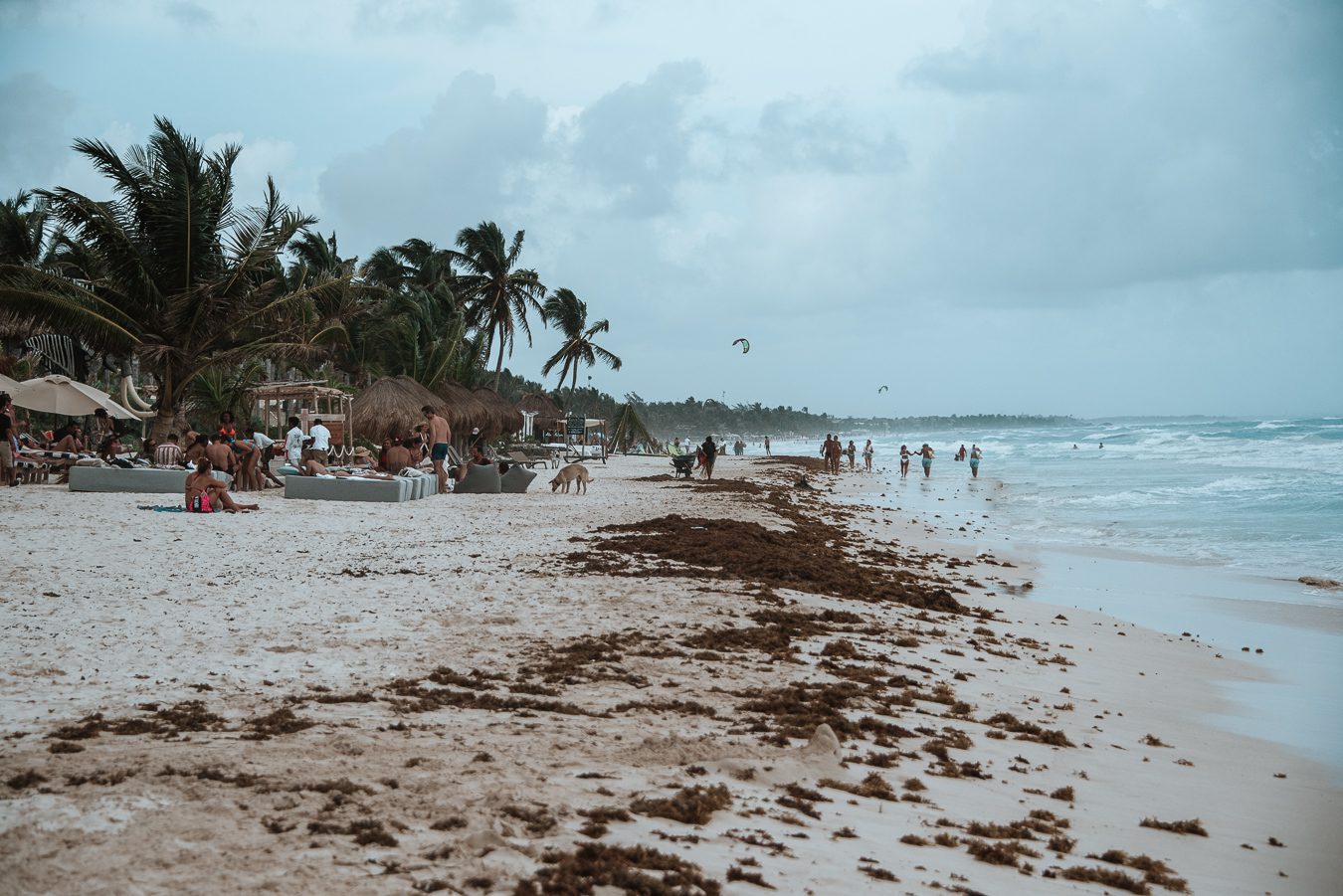 The Best Time to Visit Tulum, Mexico (Weather & Season)