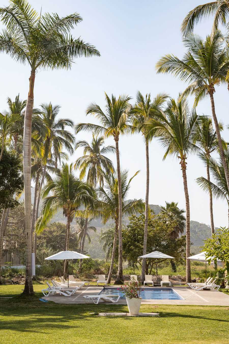 a swimming pool on playa san pancho