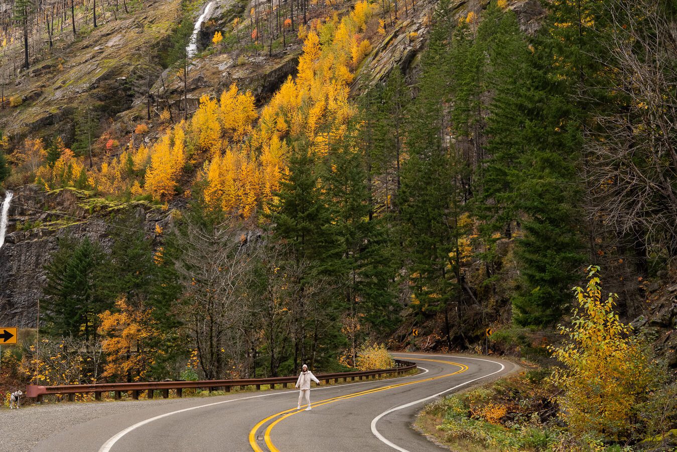 fall foliage in the north cascades washington