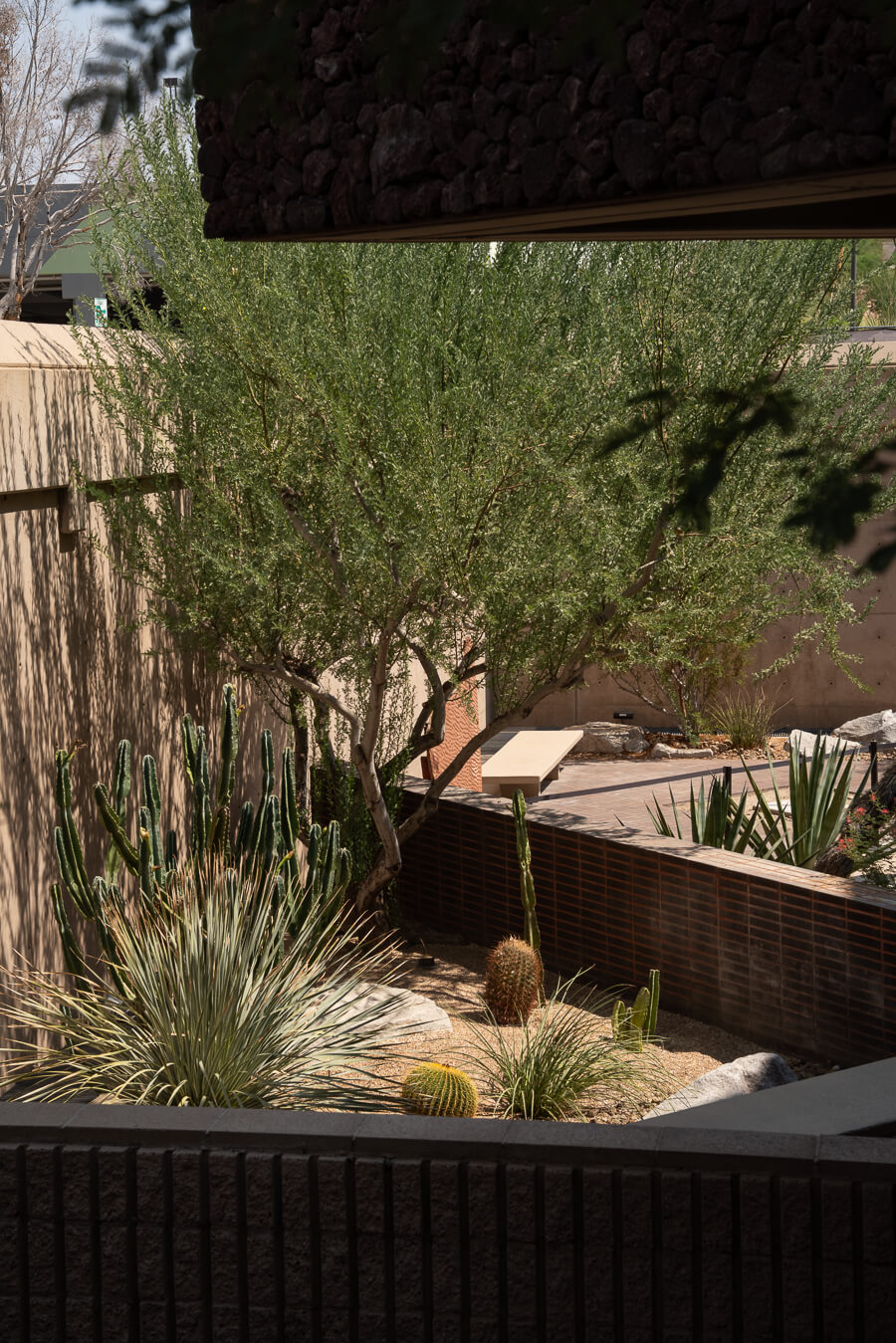 cactus garden in palm springs ca
