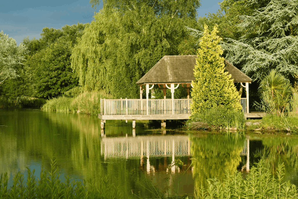 lake at airbnb new forest