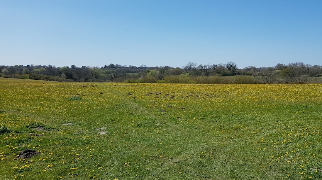 A view across Jones's Mill nature reserve in spring