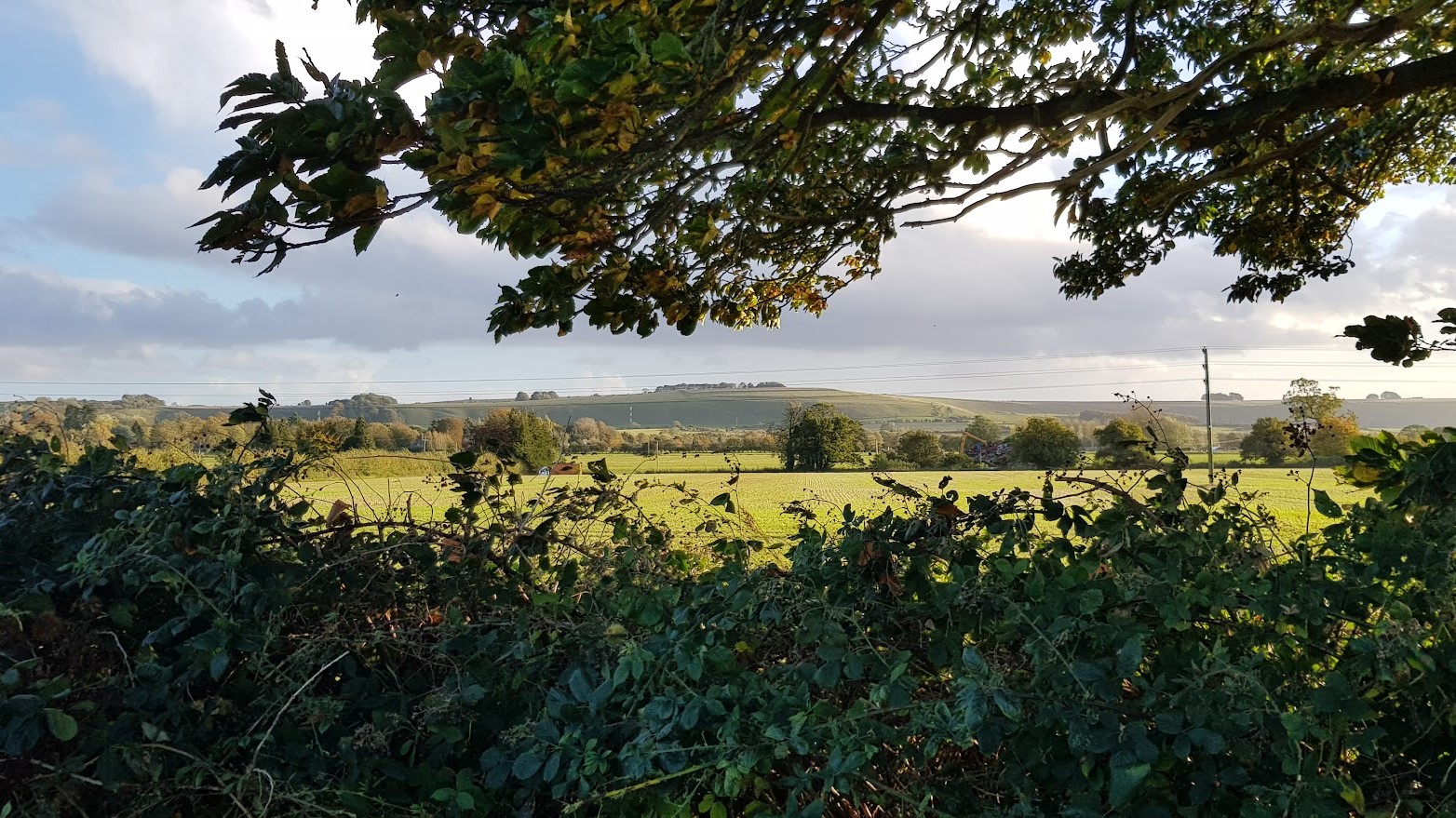 Pewsey Vale in Wiltshire in the Autumn. This image captures a scenic countryside view framed by a foreground of leafy branches and a hedge. The landscape includes vast green fields stretching into the distance, dotted with trees and hedgerows. Rolling hills are visible in the background under a sky with scattered clouds, suggesting a calm and peaceful rural setting. Power lines are faintly visible, adding a subtle touch of human presence in an otherwise natural landscape. The lighting suggests either early morning or late afternoon, casting gentle shadows across the scene.