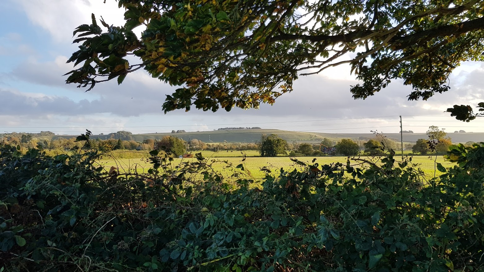 Wiltshire countryside in autumn