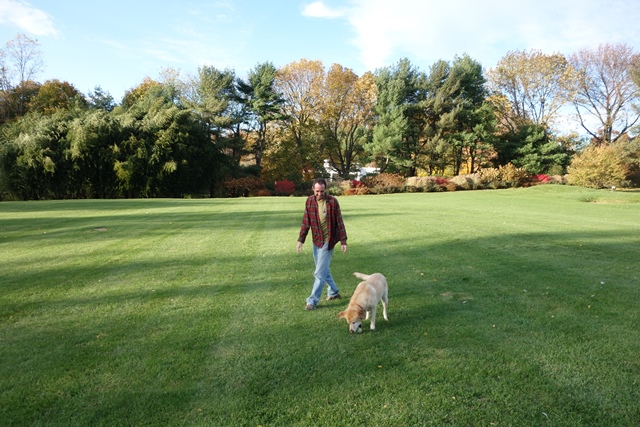 Walking around the property