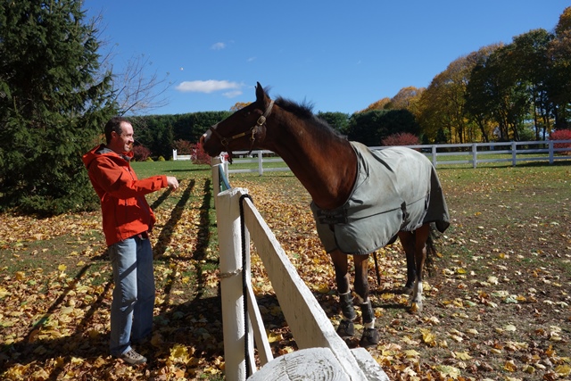 Saying hi to the horses