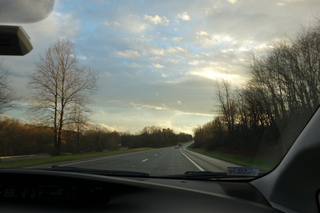 The trees are still barren in North Carolina