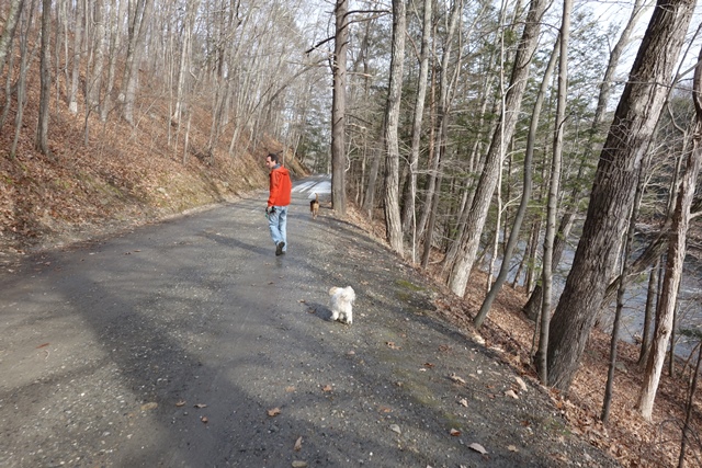 Walk along the river