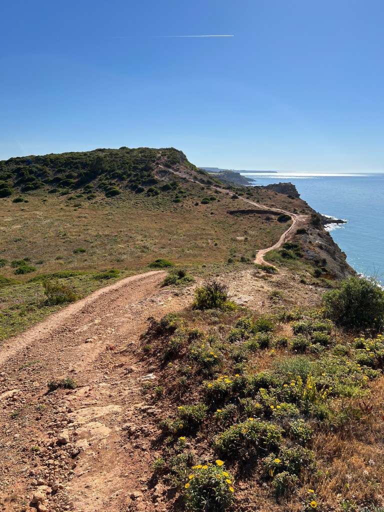 Salema