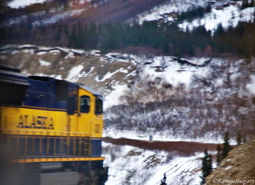 train_winter_travel_guide_alaska