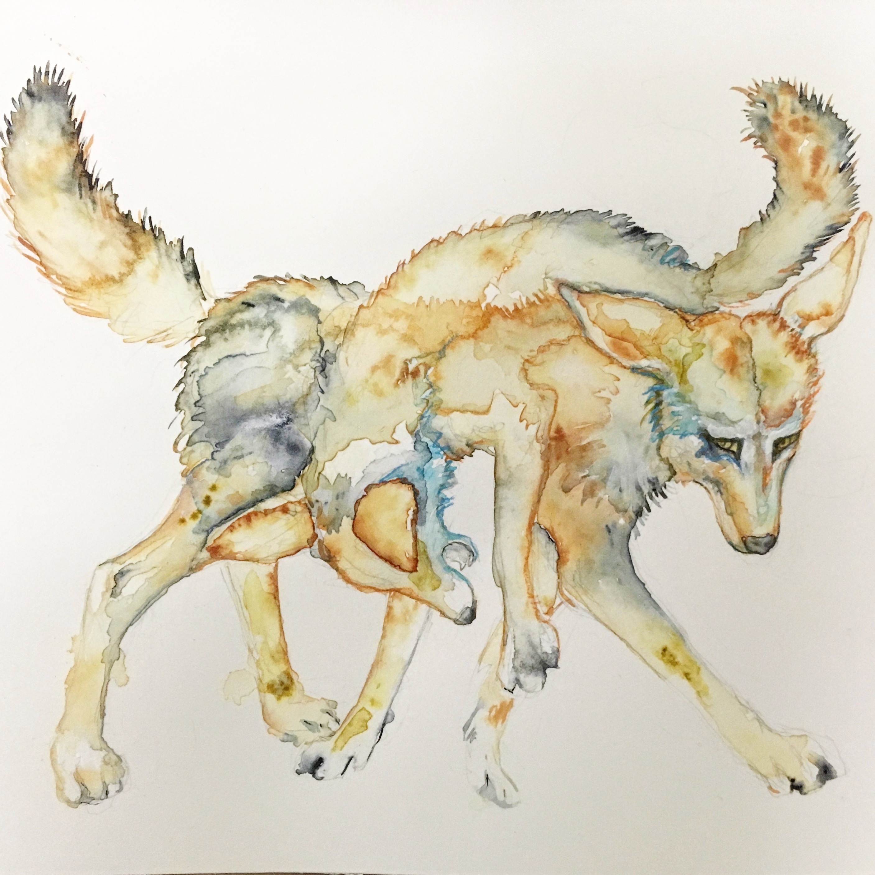 art by Melissa Wyman