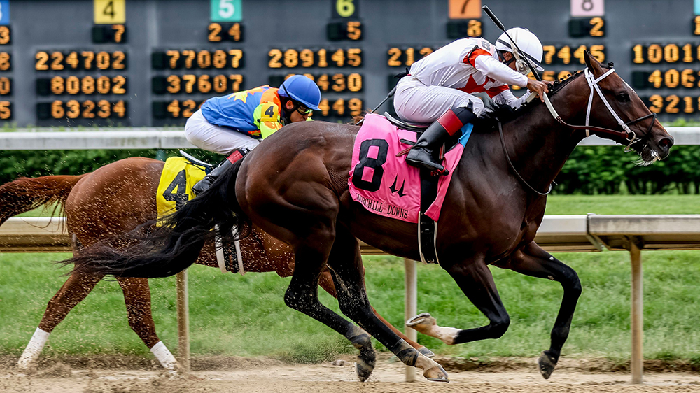 659 free images of race horse. Myracehorse App Allows You To Buy Micro Shares In Top Thoroughbreds Robb Report