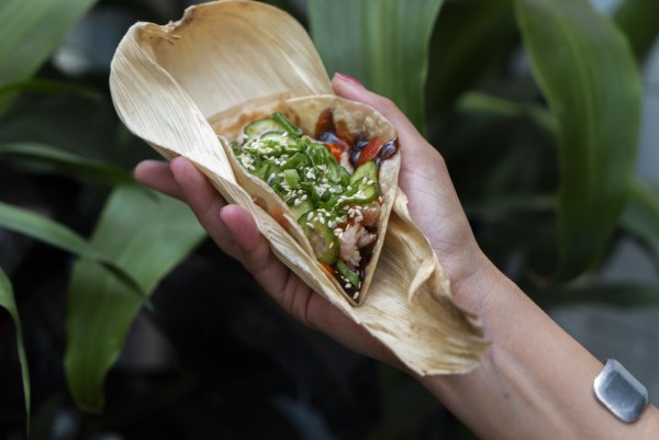 Nami sake tacos