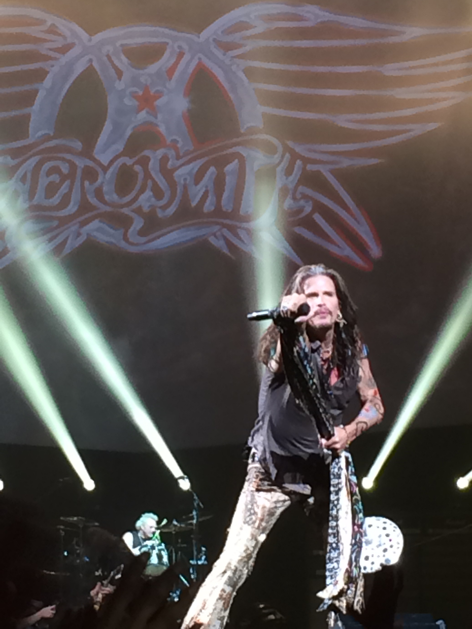 OK. I didn't really meet Steven Tyler but it was like meeting him from where I was in the MGM arena.