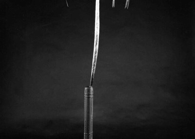 Sentinel Series