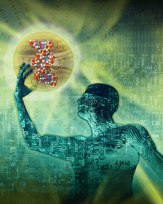 Conscious Evolution