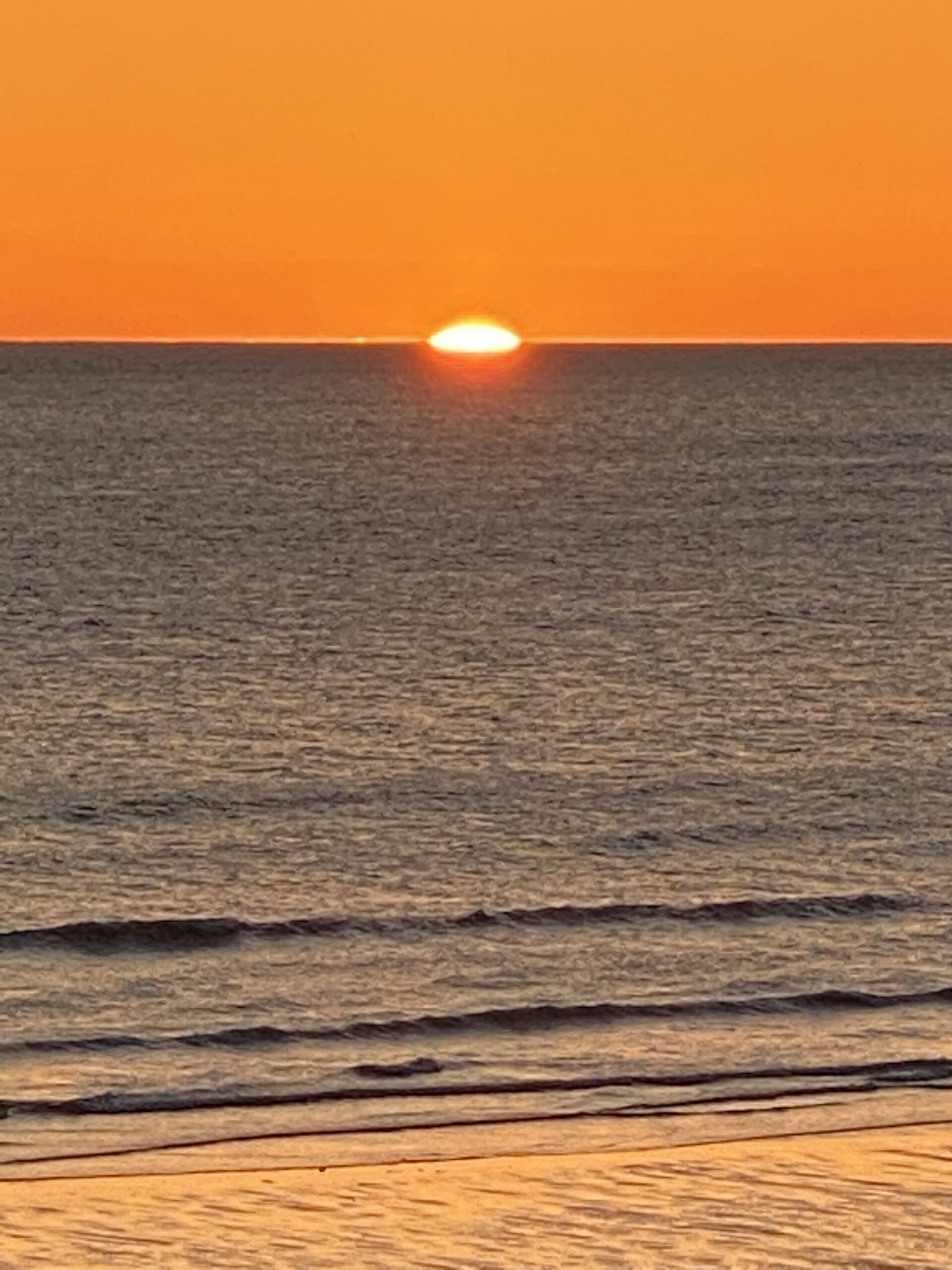 Saturday’s Poem:  The Safety Session