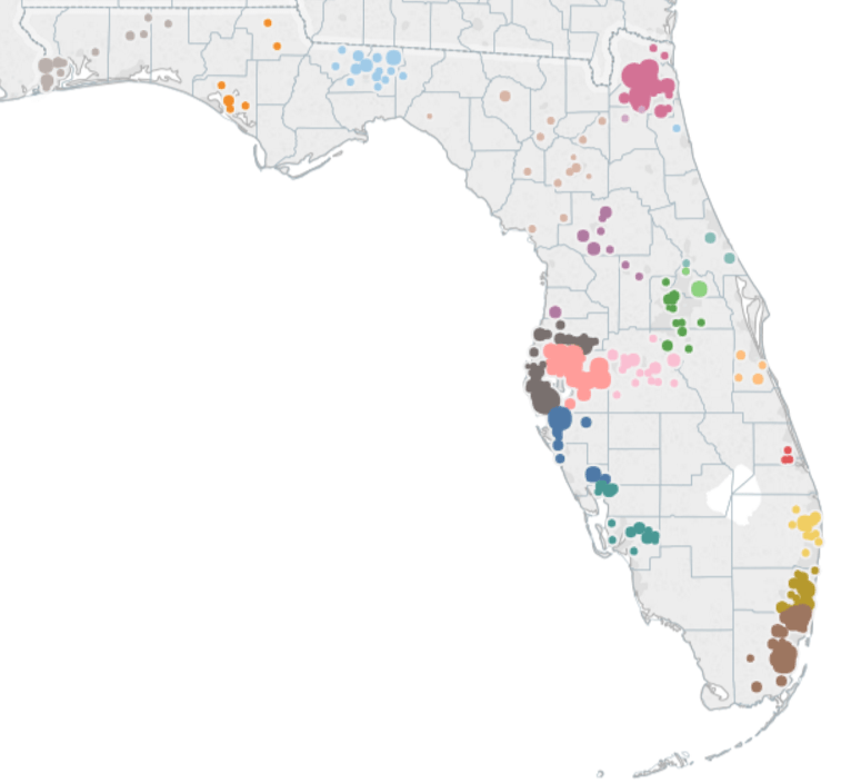 Specialized Therapeutic Foster Homes