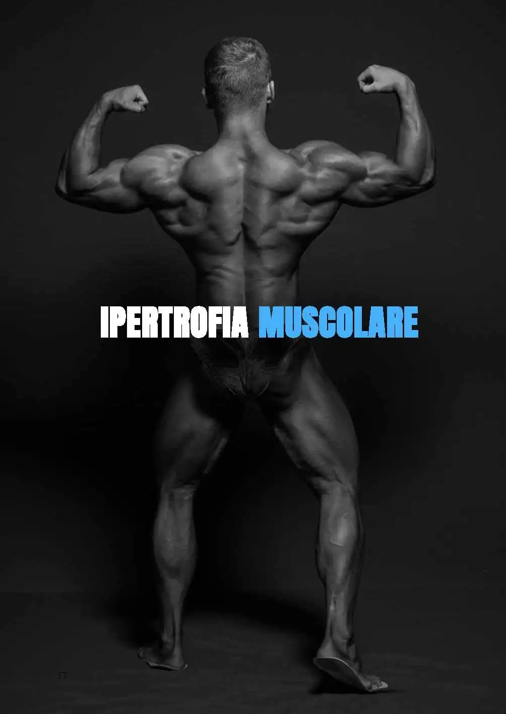 libro ant1