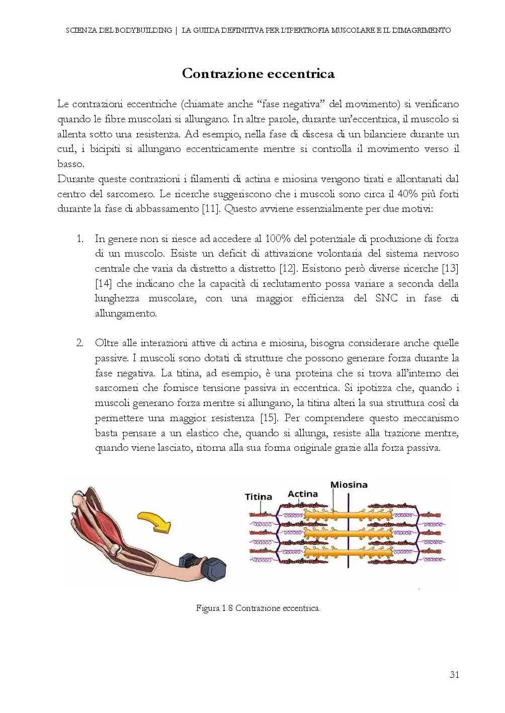 libro ant2