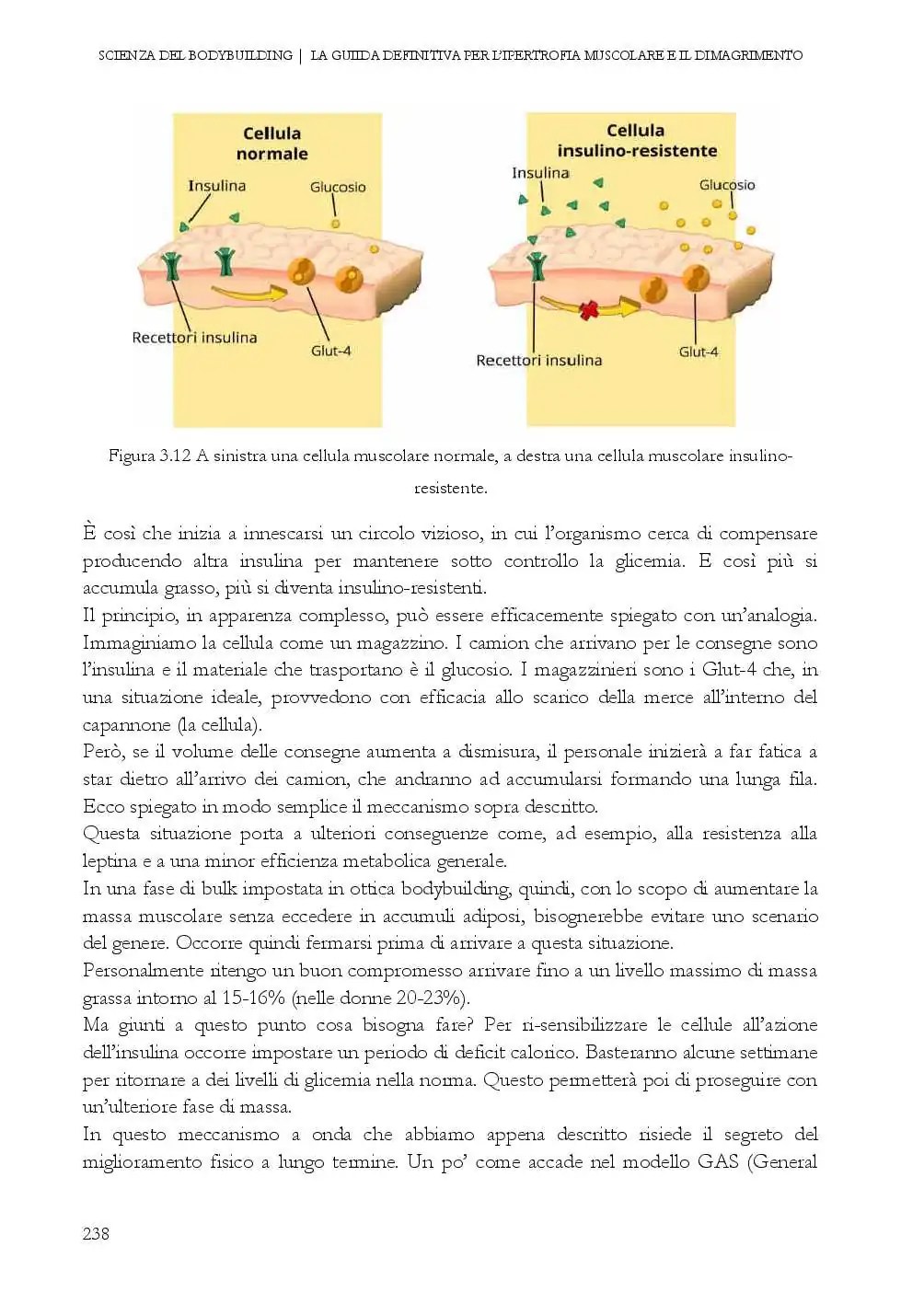 libro ant3