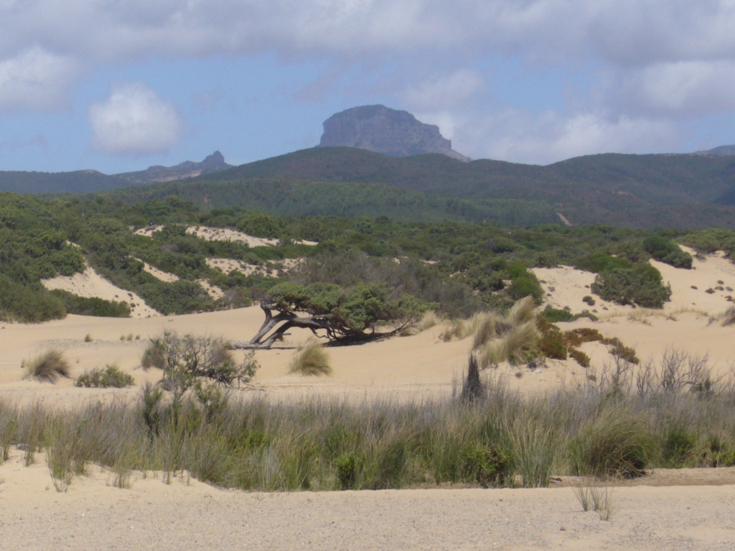 Località Piscinas - Sardegna
