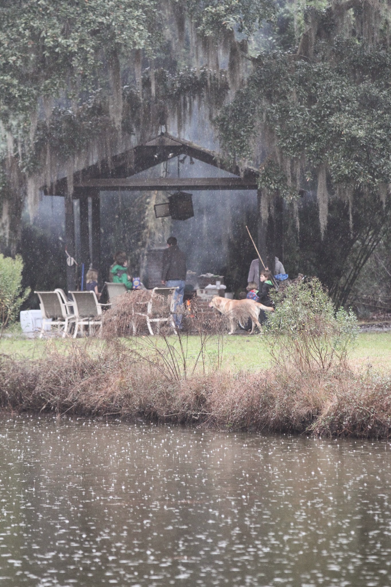 Roasting oysters over the fire in the rain.