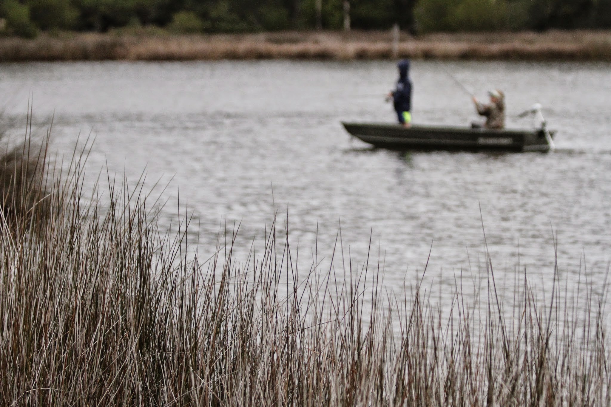 See grass lines the banks of a quiet fishing spot.