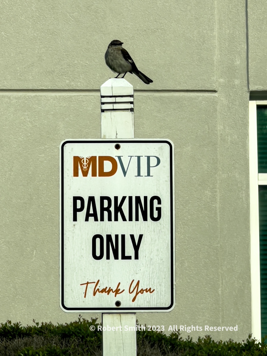 This image has an empty alt attribute; its file name is img_1656.jpg