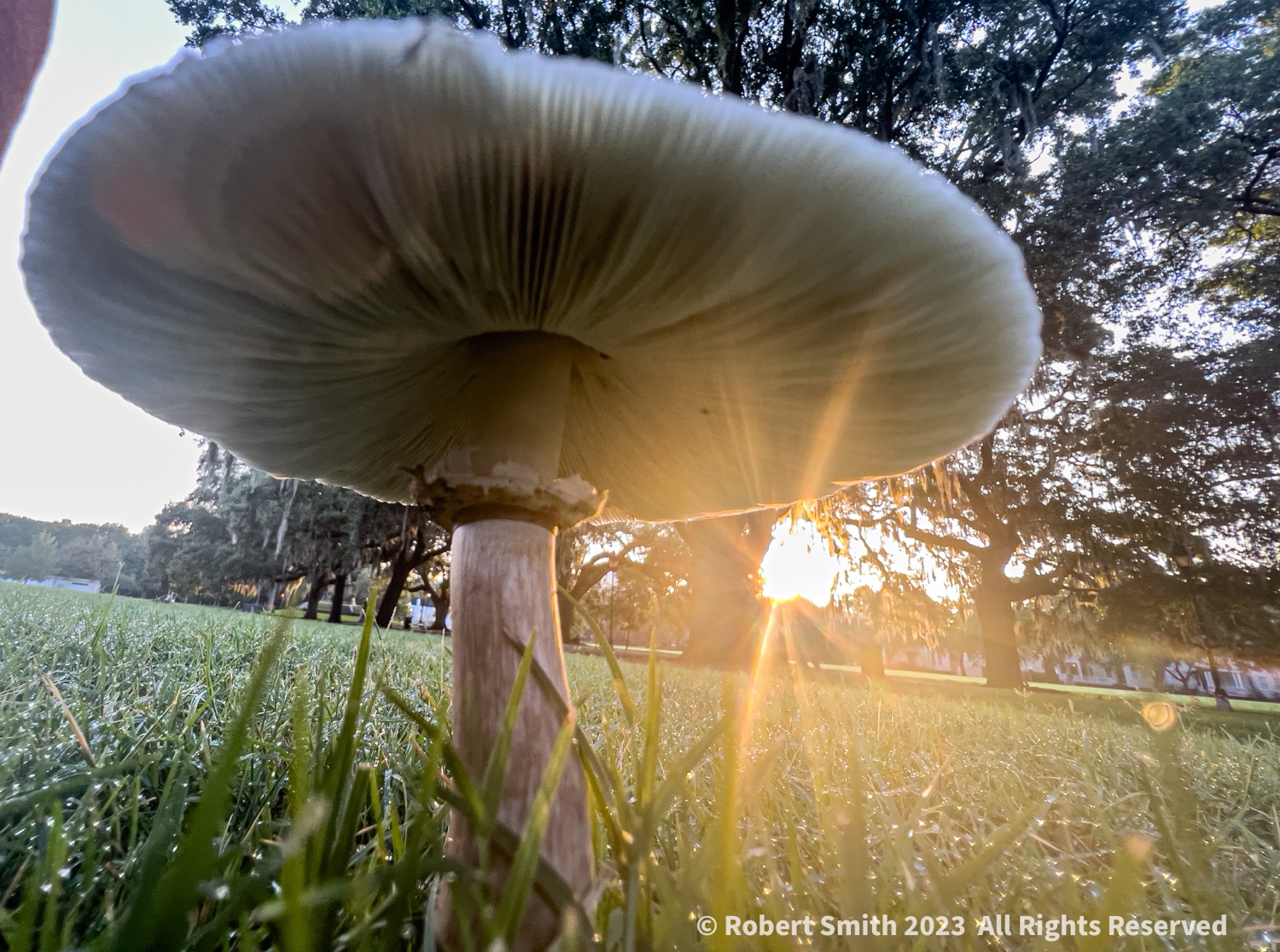 This image has an empty alt attribute; its file name is img_6510.jpg