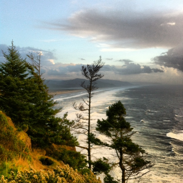 Oregon Coast fall 2013 Scott Hooper photo